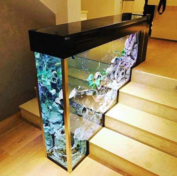 Un aquarium d'escalier