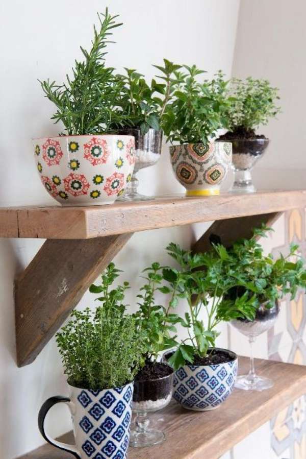 Usez de tasse à thé pour faire des petites jardinières dans votre cuisine