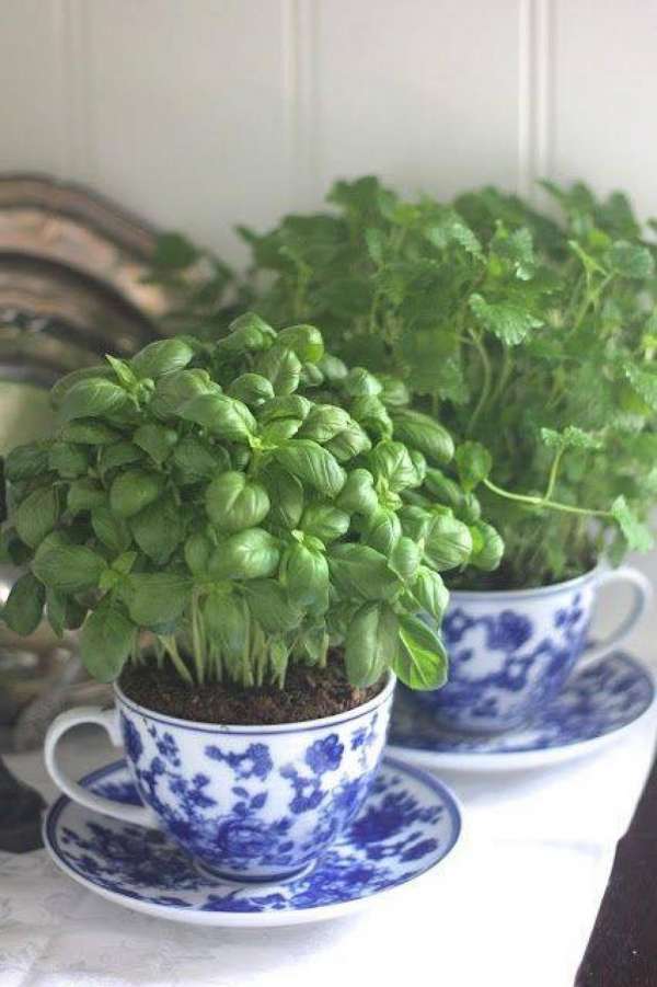 Utilisez de vieilles tasses comme pot pour vos fines herbes