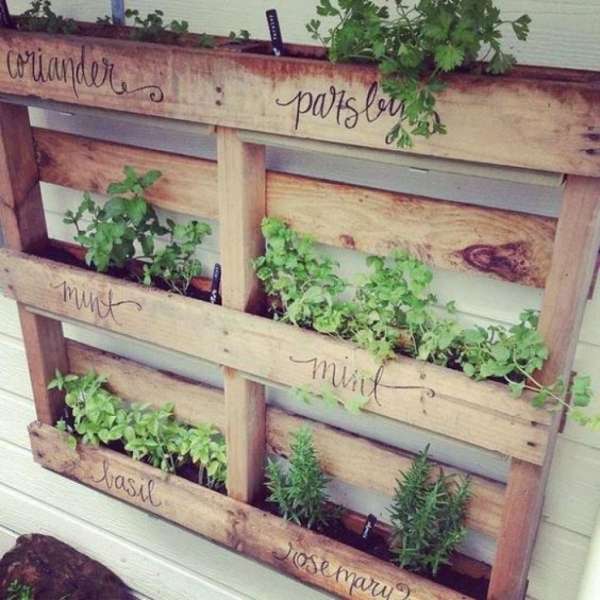 Transformez une palette en bois en une jardinière pour vos herbes aromatiques