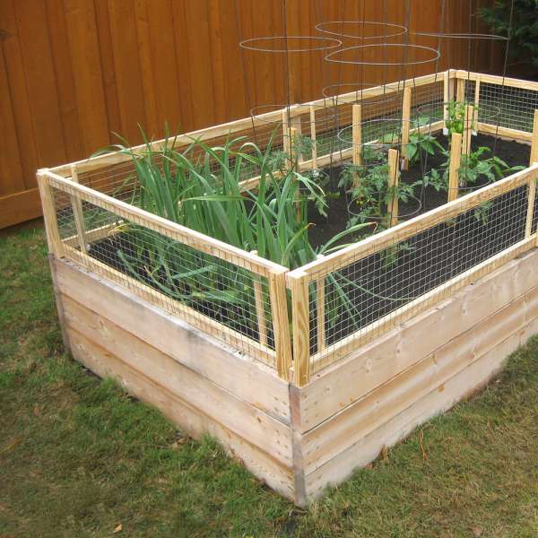 Un potager surélevé avec une clôture pour protéger les légumes des nuisibles