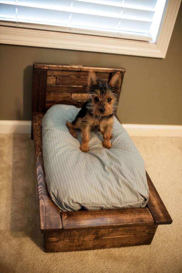 Un lit une place pour un chien de petite taille