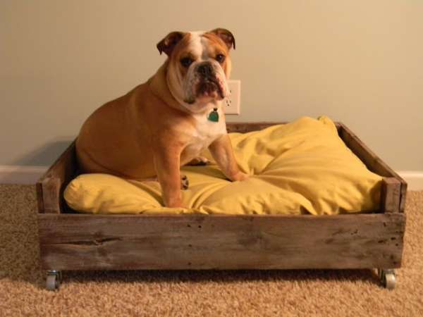 Un lit pour chien tout simple