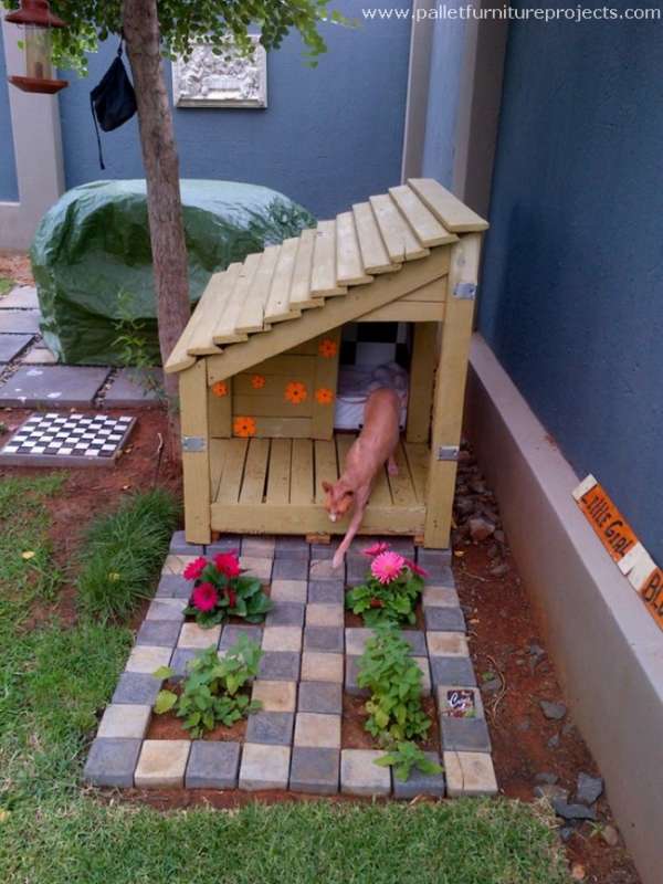 Maison pour chat avec un jardinet