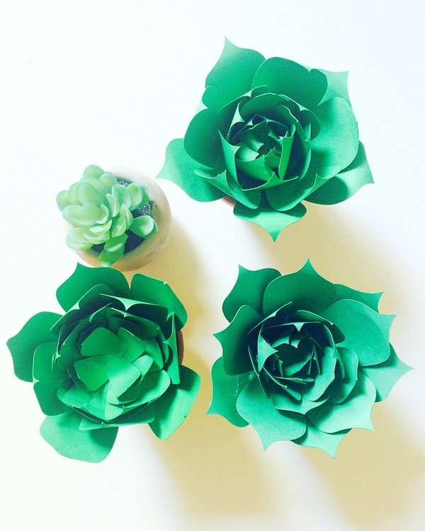Des succulentes en papier pour décorer votre intérieur