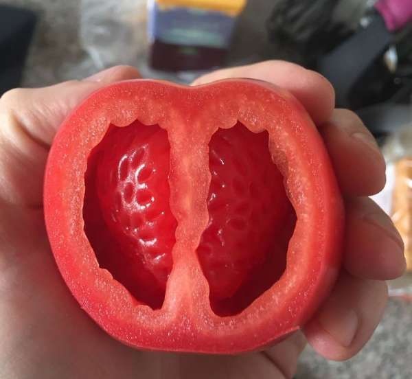 L'intérieur d'une tomate ressemble à une fraise