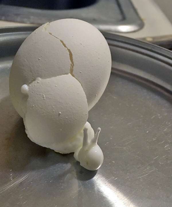 Un œuf qui a décidé de prendre la forme d'un escargot