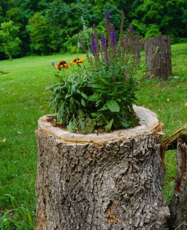 Un beau pot de fleurs cent pour cent biodégradable