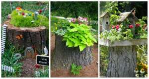 18 idées pour mettre en valeur une souche d'arbre