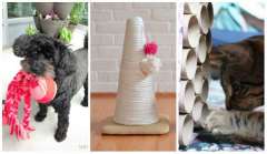 18 super jouets DIY pour chats et chiens