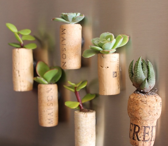 Mini-jardinière