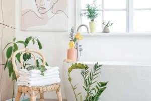 10 idées de plantes pour égayer votre salle de bain