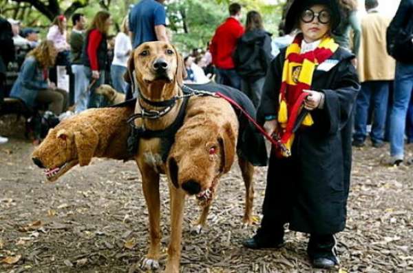 Touffu le chien à 3 têtes d'Harry Potter