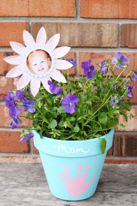 Pot de fleurs avec une photo