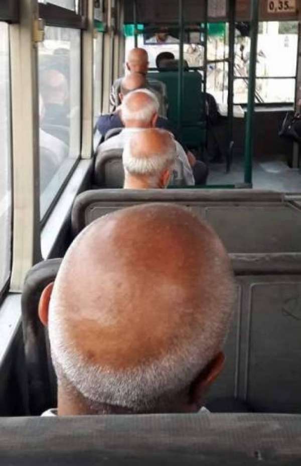 Tous les hommes dans ce bus sont chauves