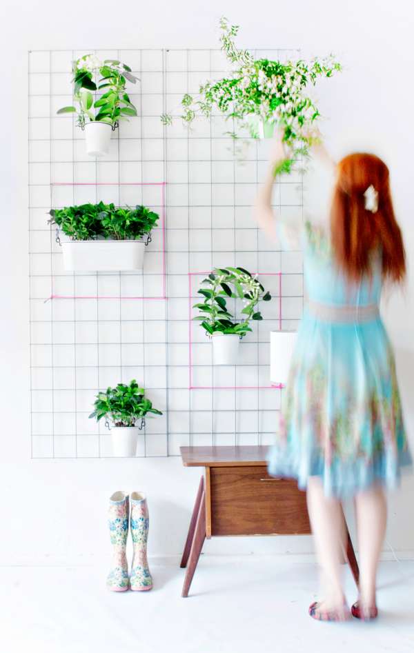 Un mur de plantes verdoyant
