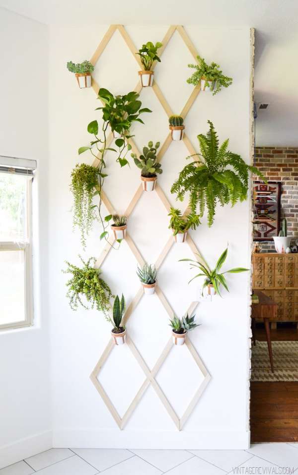 Un treillis de plantes vertes pour égayer un mur