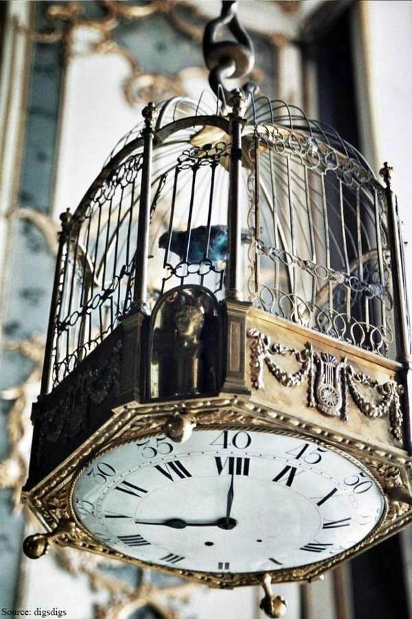 Cage d'oiseau horloge