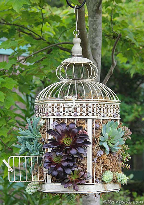 Cage d'oiseau jardin vertical