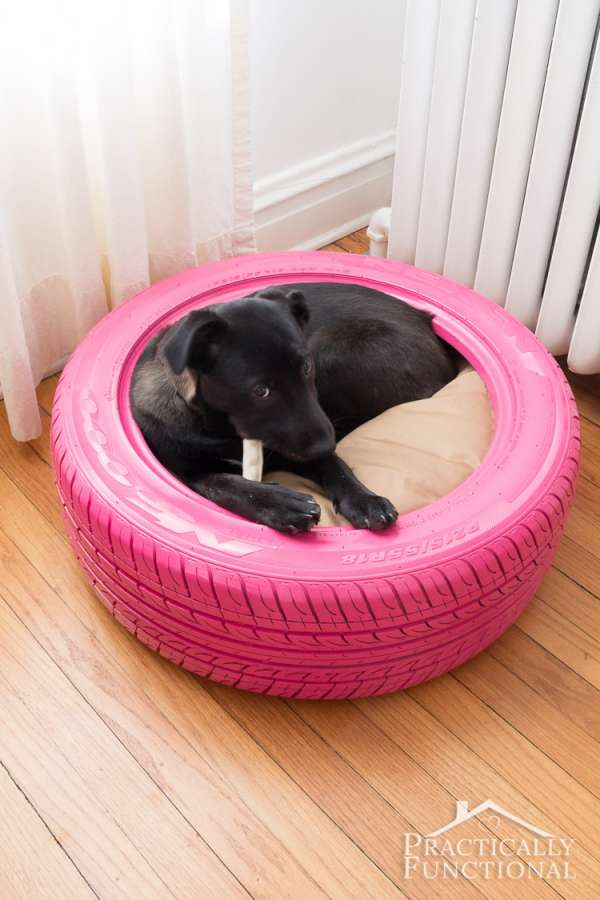 Un lit pour chien