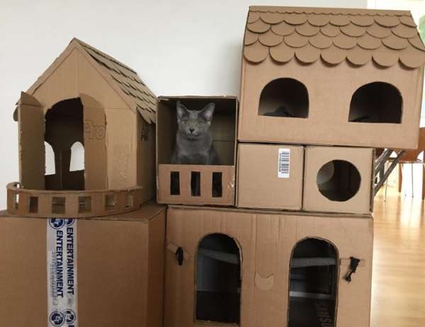 Utilisez vos boîtes en carton pour faire une belle villa pour votre chat