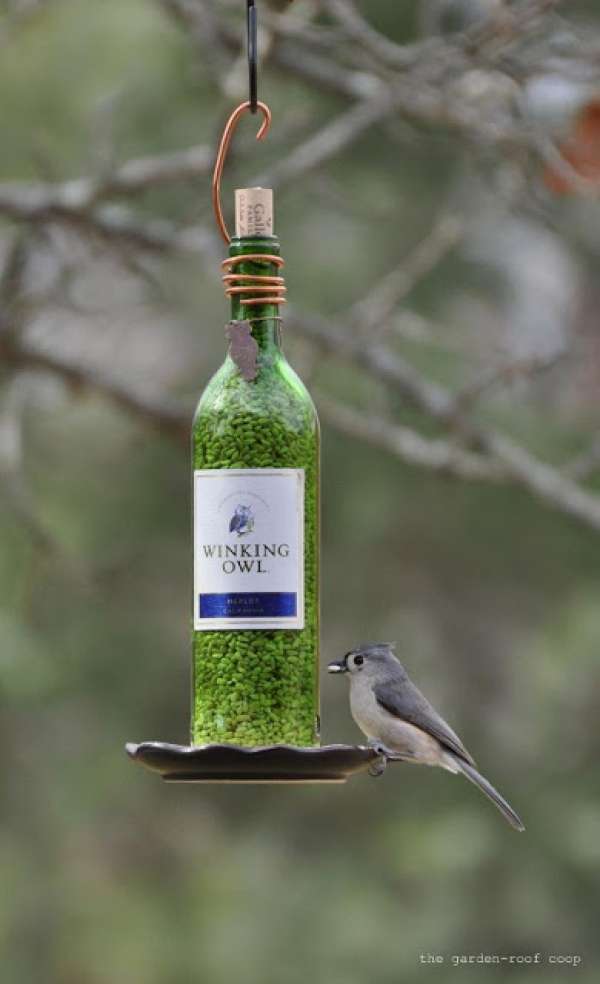 Une bouteille en verre mangeoire à oiseaux