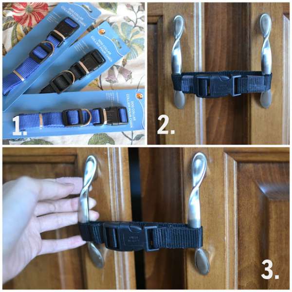 Utilisez des colliers de chien pour sécuriser les portes