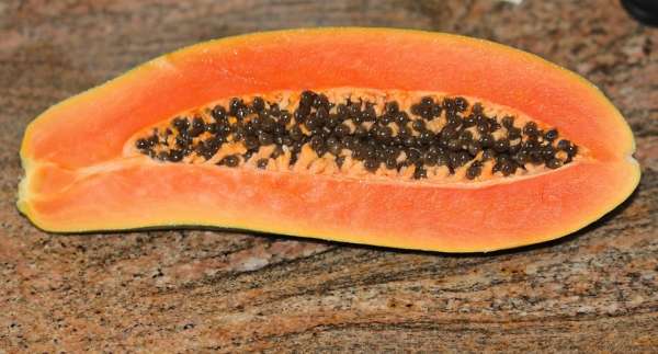 papaya