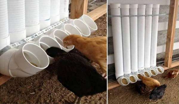 Mangeoire pour les poules avec des tubes en PVC