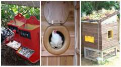 13 Idées DIY d'accessoires innovants pour le poulailler