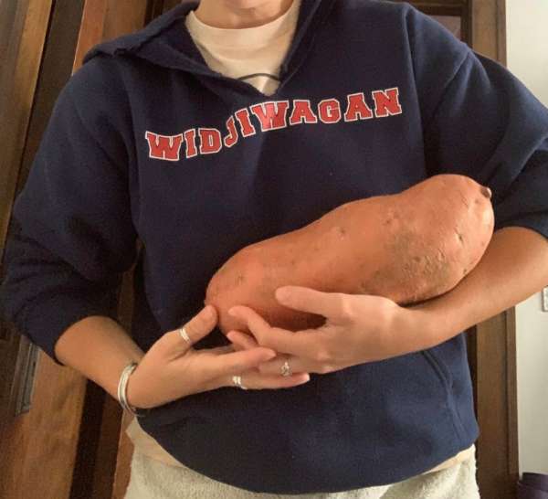 Ils ont reçu une patate douce de la taille d'un nouveau-né