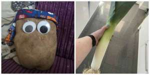 10 surprises de livraison lors du confinement