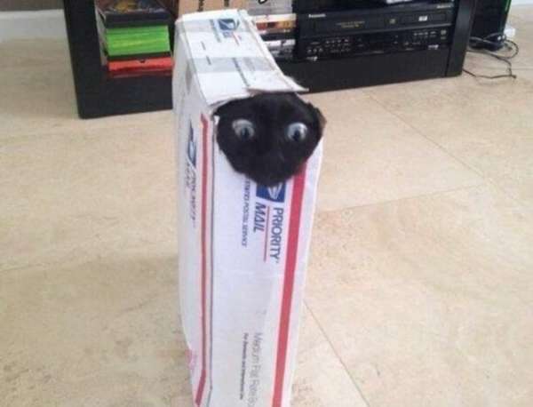 Je savais que je pouvais rentrer dans cette boîte