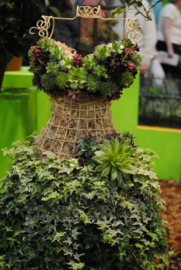 Un mannequin de succulentes