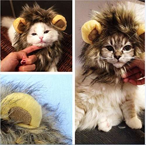 Une perruque crinière de lion pour que votre chat ait un air féroce