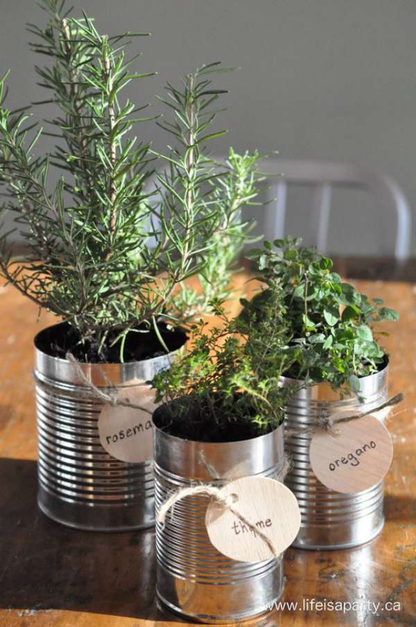 Des boites de conserve comme pots pour les herbes aromatiques
