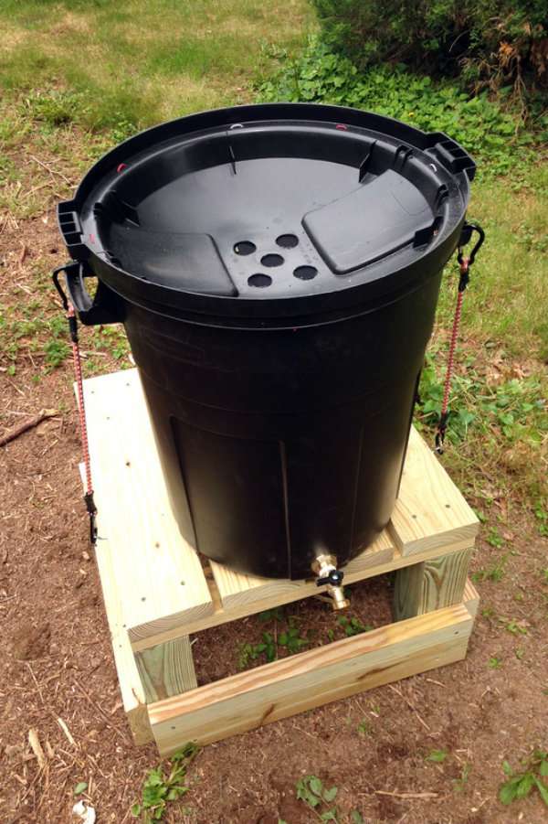 Une poubelle en plastique pour collecter l'eau de pluie pour l'arrosage