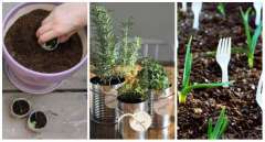 14 Astuces pour le jardin à faire avec des objets de récup