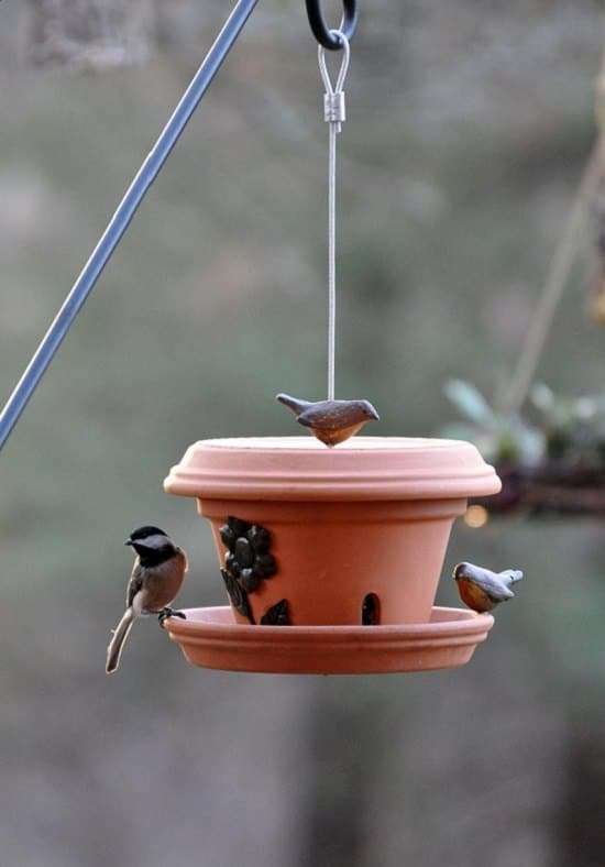 Un mangeoire à oiseaux DIY