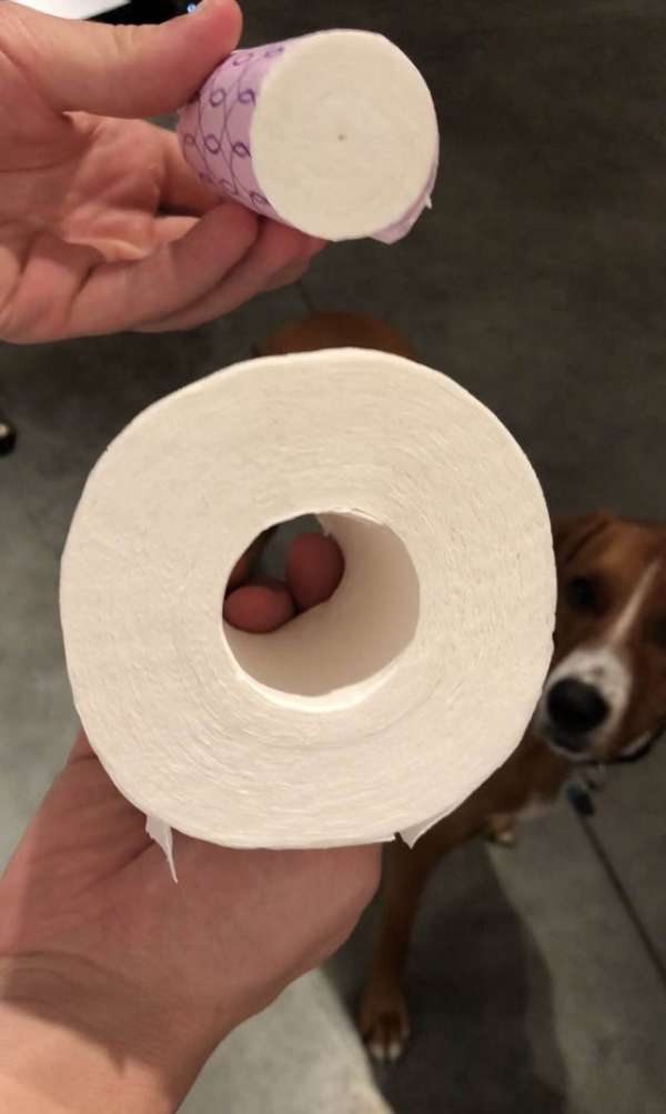 Un rouleau de papier toilette qui contient un mini rouleau à emmener avec vous