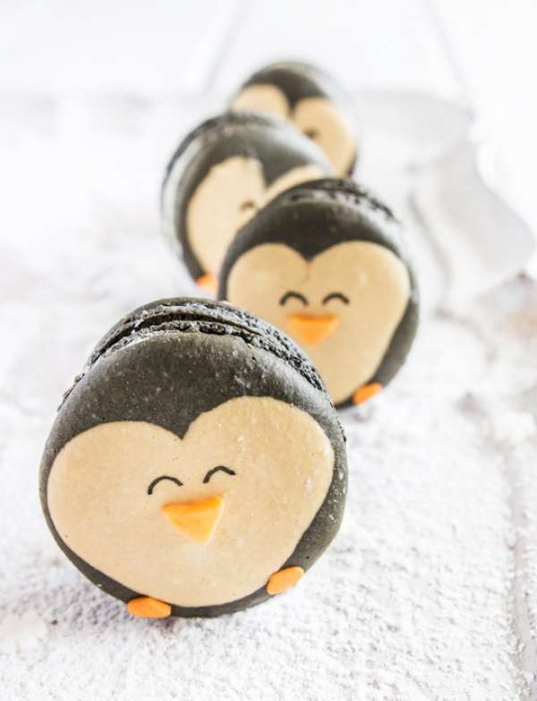 Macarons pingouins