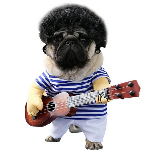 Costume de chanteur pour chien
