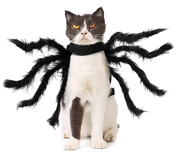 Costume araignée
