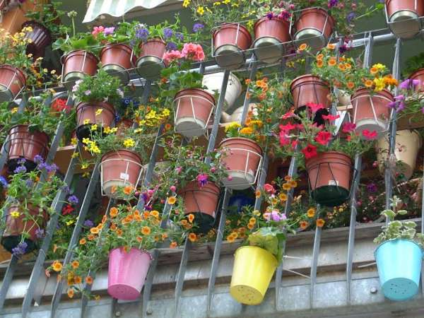 Brise-vue avec des pots de fleurs