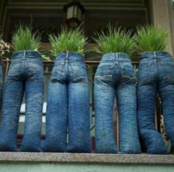 Brise-vue jardinières avec des jeans