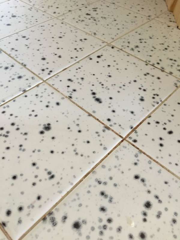 Les gens installent ce genre de carrelage pour couvrir leur crasse