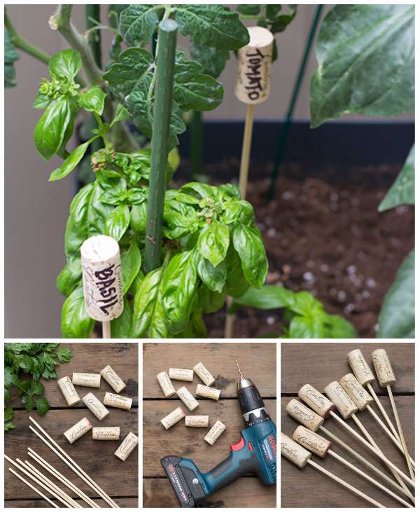 Etiquettes de jardin pour marquer les plantes avec des brochettes et des bouchons de liège