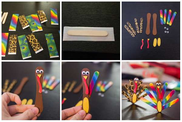 Dinde multicolore