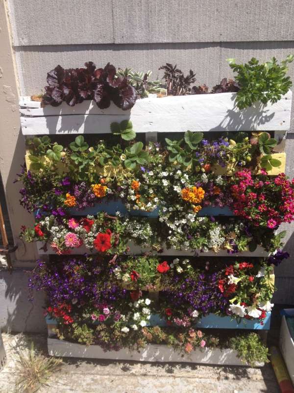 Une palette en guise de jardinière à étages très simple à faire
