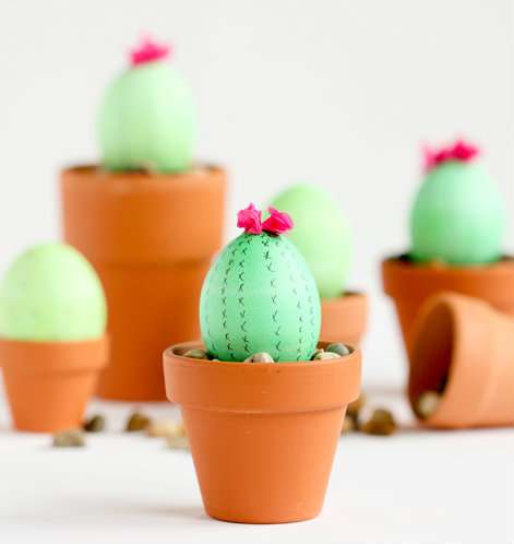 Un beau cactus à la place de l'œuf de Pâques traditionnel